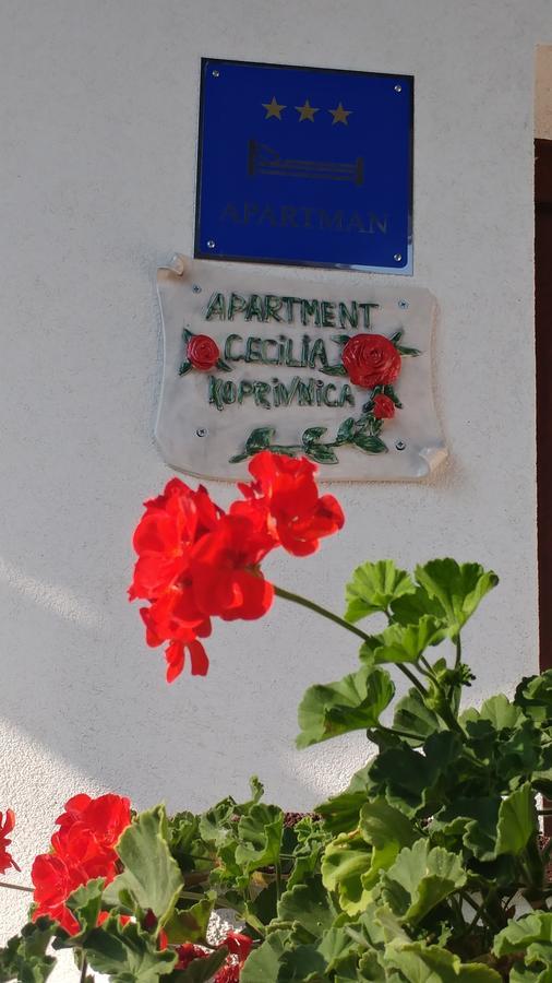Apartment Cecilia コプリヴィニツァ エクステリア 写真